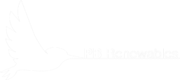 PB Renewables white logo